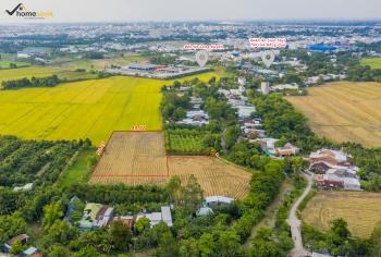 B&aacute;n Đất An Giang - Đất Ruộng Phường Mỹ Qu&yacute;, Long Xuy&ecirc;n, An Giang