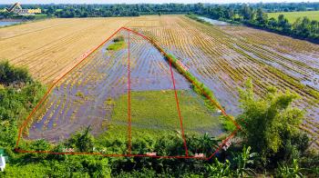 B&Aacute;N ĐẤT AN GIANG - Đất Ruộng Tuyến Tr&aacute;nh QL91, Phường Mỹ Thạnh, Long Xuy&ecirc;n, An Giang