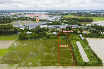 B&aacute;n Đất An Giang - Đất Ruộng Tại Phường Mỹ Thới, Long Xuy&ecirc;n, An Giang