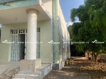 Đất Thổ Cư Kèm Vườn Cây Ăn Quả Tại Châu Thành, An Giang