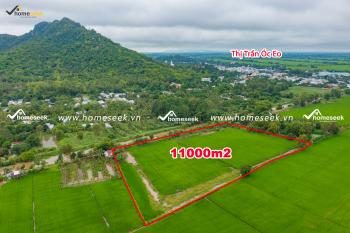 Đất Ruộng Tại K&ecirc;nh V&agrave;nh Đai N&uacute;i Ba Th&ecirc;, &Oacute;c Eo, Thoại Sơn