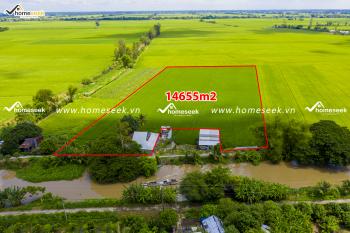 Đất Ruộng Tại X&atilde; Định Th&agrave;nh Kết Nối Nhanh DT943