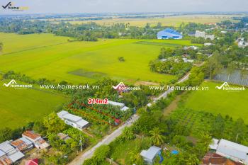 Đất nền tại xã Định Thành, huyện Thoại Sơn, An Giang