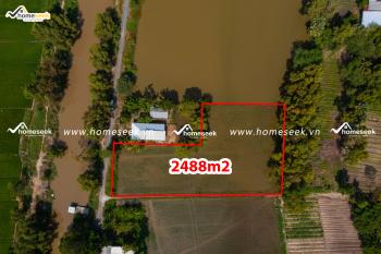 Đất Ruộng Tại G&ograve; C&acirc;y Thị, Thị trấn &Oacute;c Eo, Huyện Thoại Sơn, An Giang