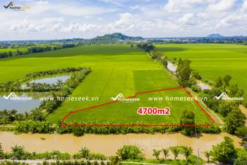 Đất ruộng x&atilde; Định Th&agrave;nh, huyện Thoại Sơn, An Giang