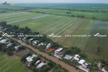 BÁN NHANH 1,2 HA ĐẤT RUỘNG MẶT TIỀN 20M VĨNH THẠNH, CẦN THƠ