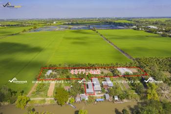 Đất nền kèm đất nông nghiệp tại xã Phú Thuận, huyện Thoại Sơn, An Giang