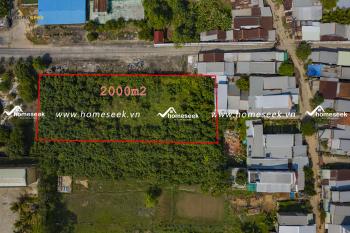 Đất cây lâu năm tại thị trấn An Châu, huyện Châu Thành, An Giang