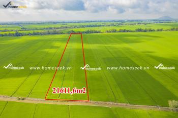 Đất ruộng xã Định Mỹ, huyện Thoại Sơn, tỉnh An Giang