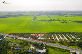 Đất cây lâu năm tại ấp An Thuận, xã Hòa Bình, huyện Chợ Mới, An Giang