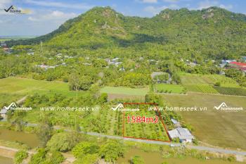 Đất ruộng thị trấn &Oacute;c Eo, huyện Thoại Sơn, An Giang