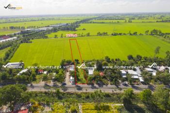 Đất ở nông thôn kèm vườn ruộng tại xã Định Thành, huyện Thoại Sơn, An Giang