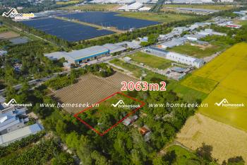 Đất nền tại Bình Hòa, huyện Châu Thành, An Giang