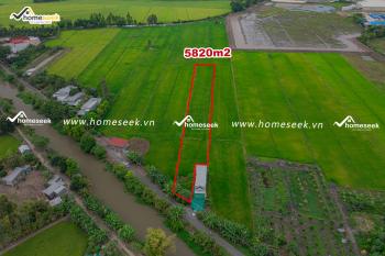 Đất ruộng ấp Bắc Sơn, thị trấn Núi Sập, Thoại Sơn, An Giang