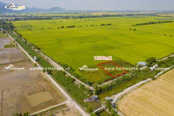 Đất ruộng tại thị trấn Tri Tôn, huyện Tri Tôn, An Giang