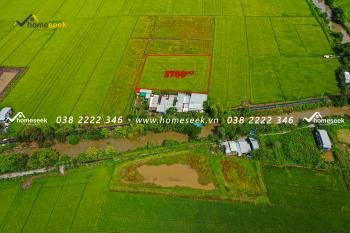 Đất ruộng phường Mỹ Thới Long Xuyên An Giang 3788m2