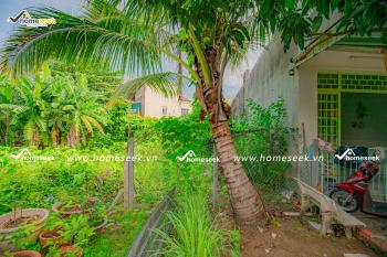 Đất nền đường nhánh Hàm Nghi phường Bình Khánh Long Xuyên An Giang