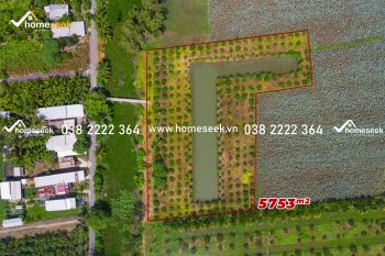 Đất ruộng Châu Phú B thành phố Châu Đốc An Giang 5753m2