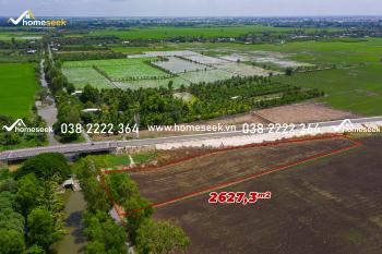 Đất ruộng Châu Phú B thành phố Châu Đốc 2627.3m2