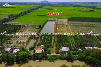 Đất ruộng Mỹ Đức Châu Phú An Giang 24456m2