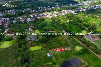 Đất nền xã Mỹ Đức huyện Châu Phú An Giang 2136m2