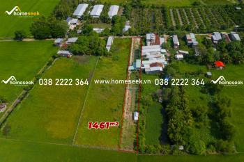 Đất nền phường Vĩnh Mỹ thành phố Châu Đốc An Giang 1461m2