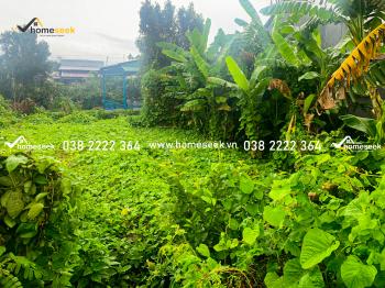 Đất nền Vĩnh Thành Châu Thành An Giang 109,8m2