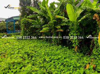 ĐẤT NỀN VĨNH THÀNH CHÂU THÀNH AN GIANG 189m2