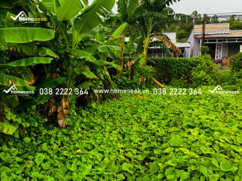 ĐẤT NỀN VĨNH THÀNH CHÂU THÀNH AN GIANG 189,3m2