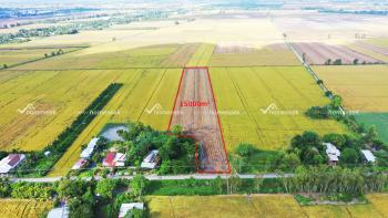 Đất ruộng xã Định Thành huyện Thoại Sơn An Giang 15000m2