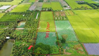 Đất ruộng xã Mỹ Phú Huyện Châu Phú An Giang 9017m2