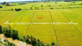 Đất ruộng xã Bình Hòa huyện Châu Thành An Giang 12307m2
