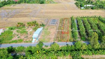 Đất nền xã Vĩnh Trạch Huyện Thoại Sơn An Giang 522m2