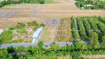 Đất nền tại xã Vĩnh Trạch Huyện Thoại Sơn An Giang 521m2