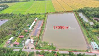 Đất cây lâu năm/ao cá xã Lương An Trà, huyện Tri Tôn, An Giang 13050m2