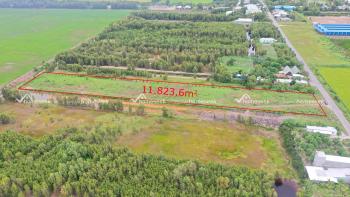 Đất cây lâu năm mặt tiền đường Vàm Rầy, xã Lương An Trà, huyện Tri Tôn, An Giang 11823.6m2