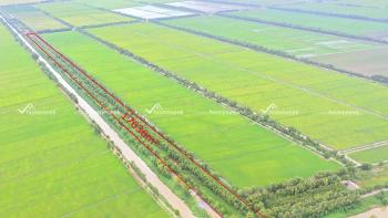 Đất nền khu dân cư xã Lương An Trà, huyện Tri Tôn, An Giang 17.636m2