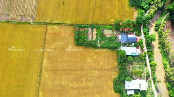 Đất cây lâu năm phường Bình Đức TP.Long Xuyên An Giang 1907.7m2