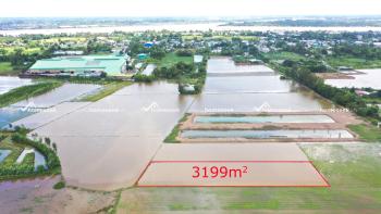 Đất ruộng huyện Ch&acirc;u Th&agrave;nh, An Giang 3199m2