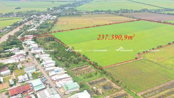 Đất nền kèm đất ruộng đường Vàm Rầy - Tri Tôn, xã Lương An Trà, huyện Tri Tôn, An Giang 237.390,9m2