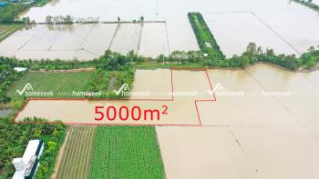 Đất ruộng phường Mỹ Thới, TP. Long Xuy&ecirc;n, An Giang 5000m2