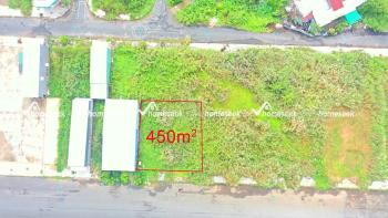 Cho thu&ecirc; đất nền mặt tiền đường Nguyễn Th&aacute;i Học, phường Mỹ H&ograve;a, TP.Long Xuy&ecirc;n, An Giang 450m2