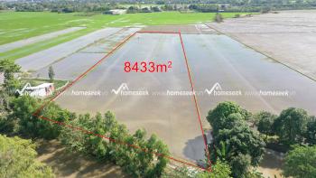 Đất ruộng k&ecirc;nh Mương Hội, kh&oacute;m T&acirc;y Kh&aacute;nh 6, phường Mỹ H&ograve;a, TP.Long Xuy&ecirc;n, An Giang 8433m2