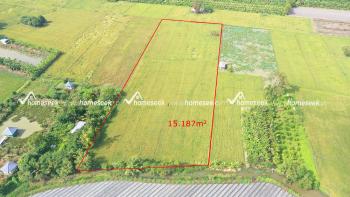 Đất ruộng x&atilde; Vĩnh Trạch, huyện Thoại Sơn, An Giang 15.187m2