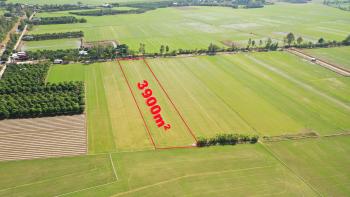 Đất ruộng Rạch Cần Thay, x&atilde; H&ograve;a B&igrave;nh, huyện Chợ Mới, An Giang 3900m2