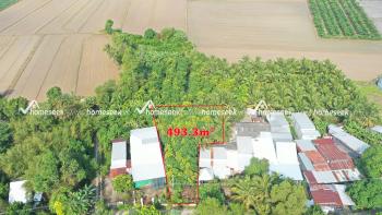 Đất nền + C&acirc;y l&acirc;u năm c&aacute;ch ph&agrave; An H&ograve;a 3km, x&atilde; H&ograve;a B&igrave;nh, huyện Chợ Mới, An Giang 493.3m2