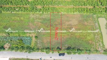 Đất ruộng thửa 552 đ&atilde; ph&acirc;n l&ocirc; t&aacute;ch thửa thị trấn Mỹ Lu&ocirc;ng, huyện Chợ Mới, An Giang 500m2