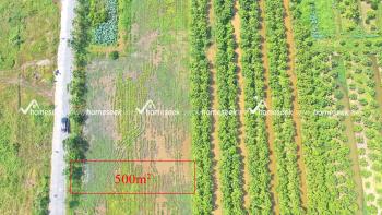 Đất ruộng thửa 553 đ&atilde; ph&acirc;n l&ocirc; t&aacute;ch thửa thị trấn Mỹ Lu&ocirc;ng, huyện Chợ Mới, An Giang 500m2