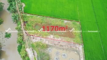 Đất ruộng đường T&acirc;y An - Bờ hồ phường Mỹ Thới, TP.Long Xuy&ecirc;n, An Giang 1170m2