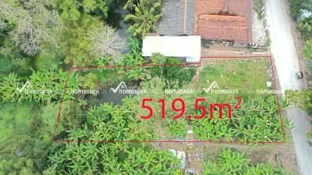 Đất nền mặt tiền đường li&ecirc;n x&atilde; Vĩnh Trạch, thị trấn Ph&uacute; H&ograve;a, huyện Thoại Sơn, An Giang 519.5m2